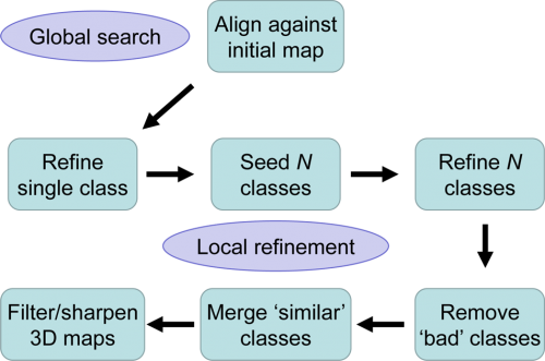 FrealignX Workflow